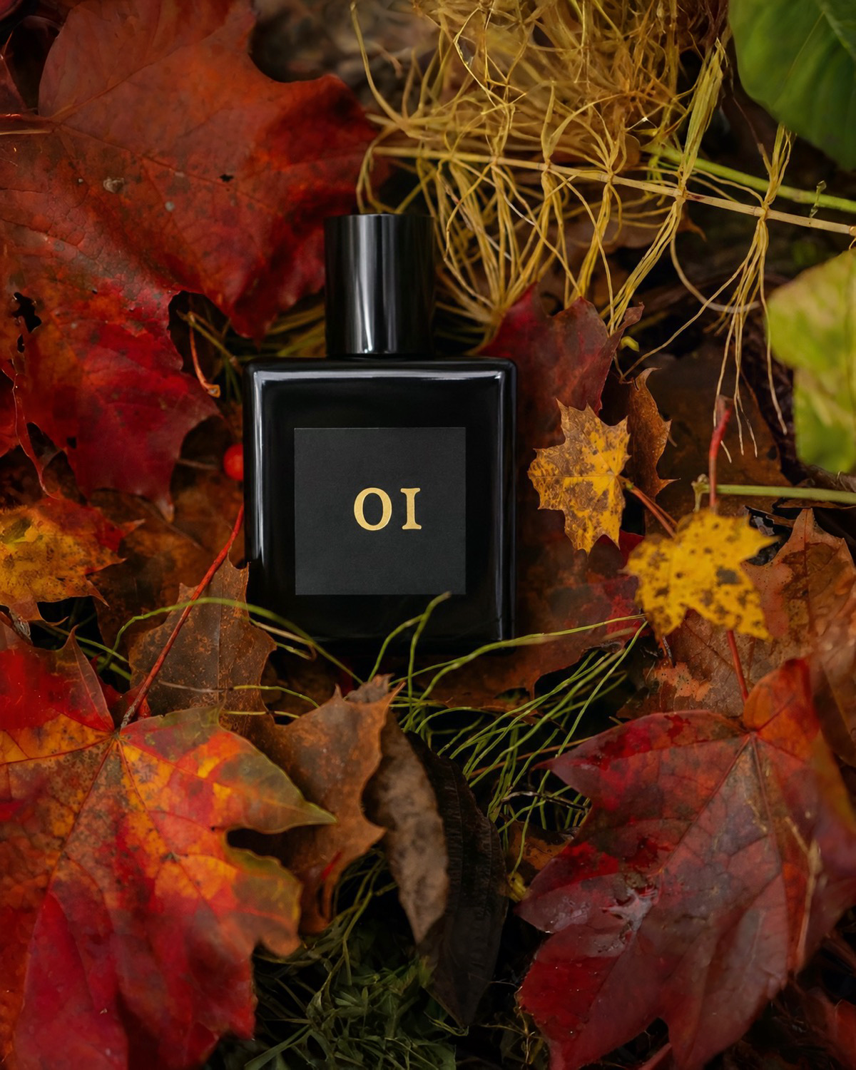 01 - IMPRESSION OF DESIR DU COEUR - SOBER SCENT