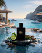 6666 - IMPRESSION OF COOL WATER - SOBER SCENT