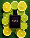 9999 - IMPRESSION OF CK ONE - SOBER SCENT
