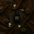 IV - Ombre Leather - SOBER SCENT