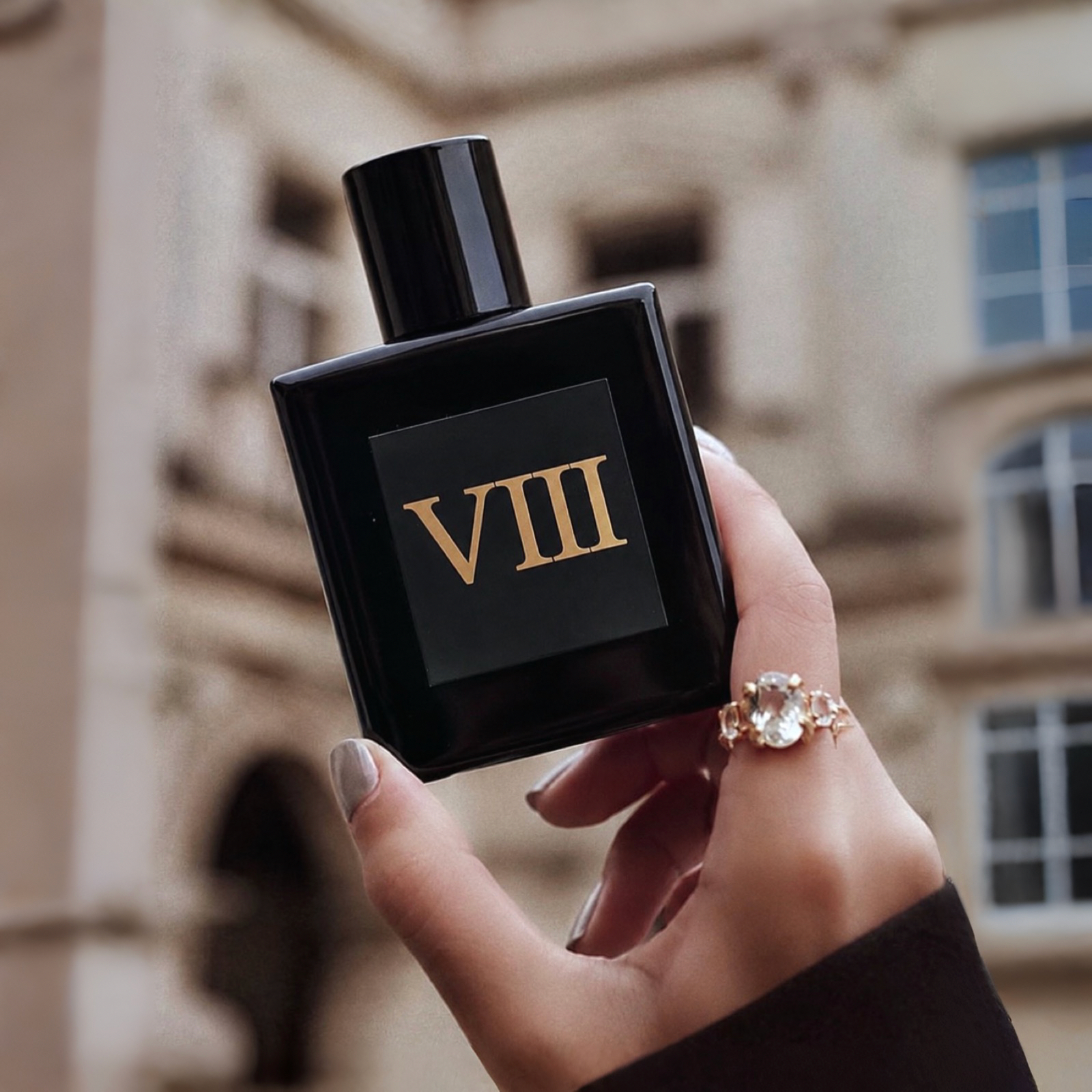 VIII - Gris Dior - SOBER SCENT
